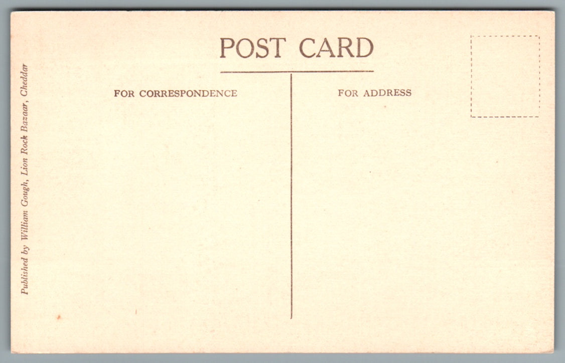 Sunshine In The Gorge Cheddar Somerset Postcard #2388