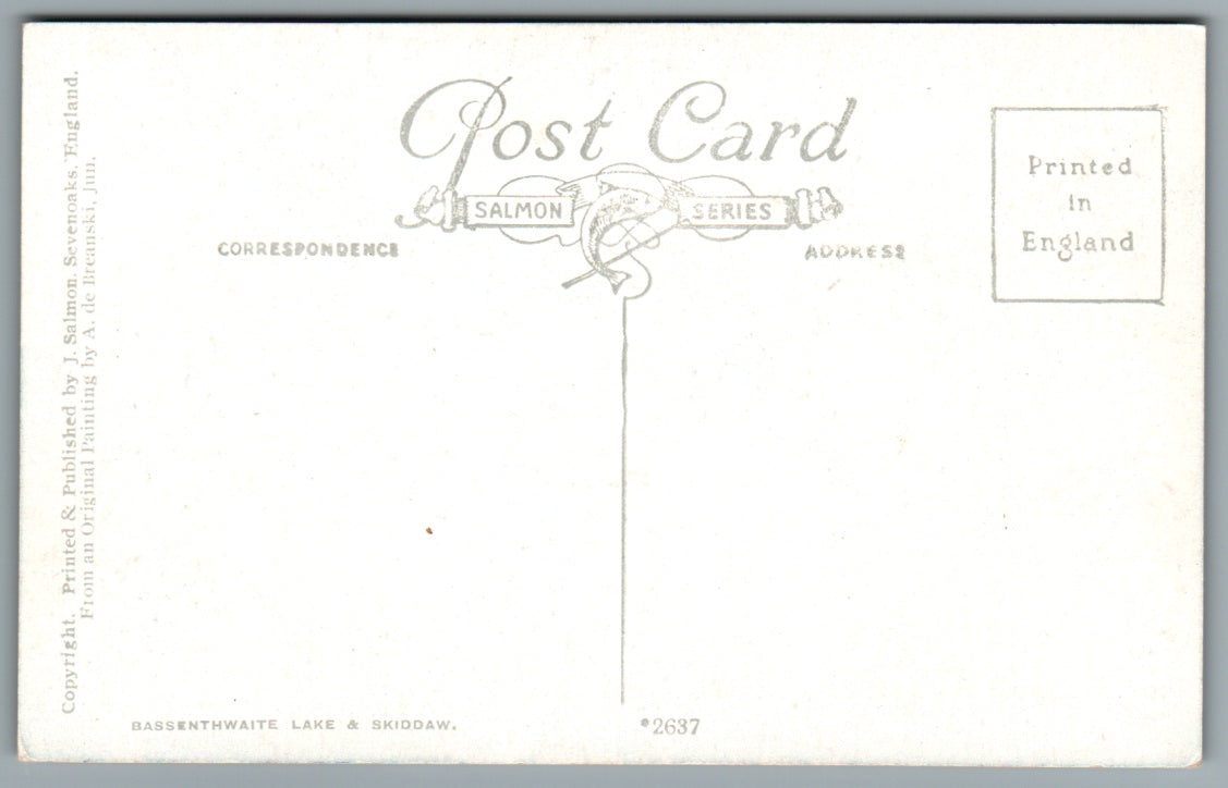 Bassenthwaite Lake & Skiddaw Cumbria Postcard #0879