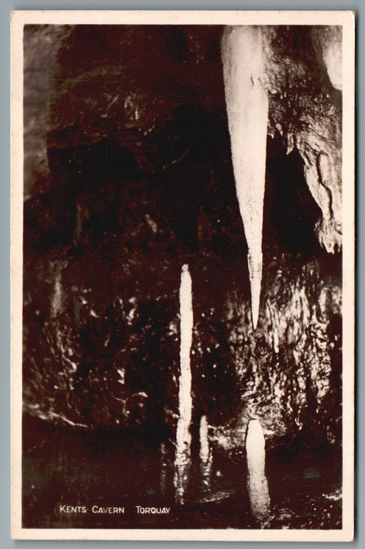 Torquay Kents Cavern Devon Postcard