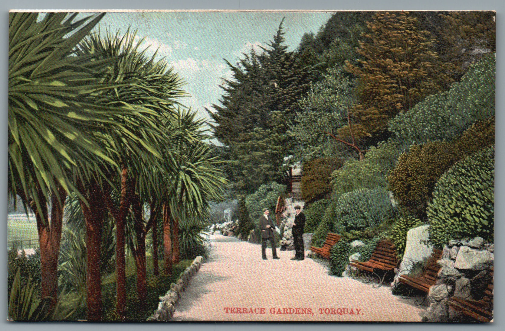 Torquay Terrace Gardens Devon Postcard
