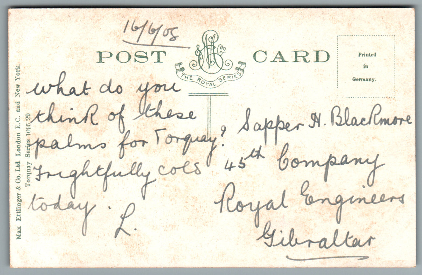 Torquay Terrace Gardens Devon Postcard #0010-15