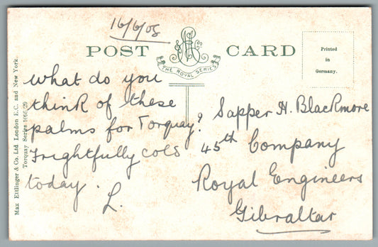 Torquay Terrace Gardens Devon Postcard #0010-15