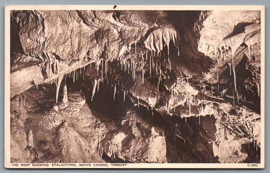 Torquay Kents Cavern Devon Postcard