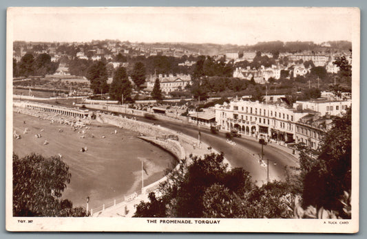 Torquay The Promenade Devon Postcard
