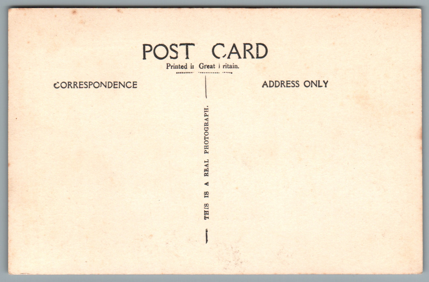 Torquay Kents Cavern Devon Postcard #0010-1