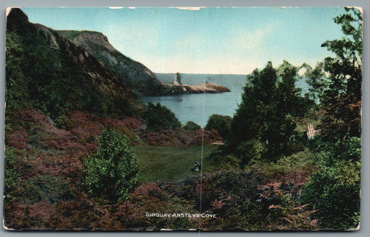Torquay Anstey's Cove Devon Postcard
