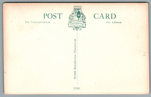 Torquay The Pavilion Devon Postcard #0010-13