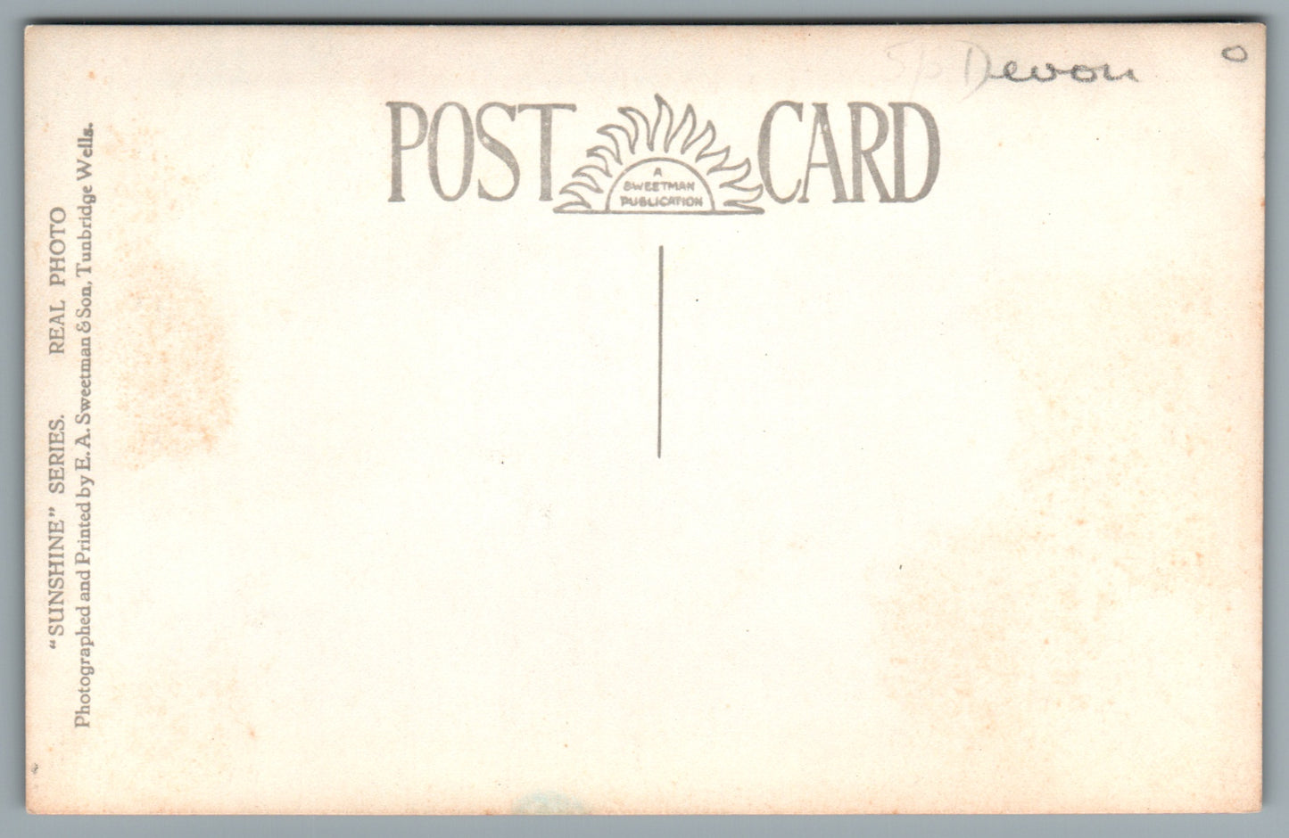 Torquay Princess Gardens Devon Postcard #0010-2