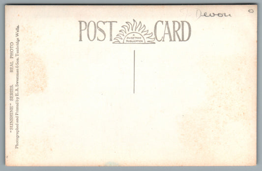Torquay Princess Gardens Devon Postcard #0010-2