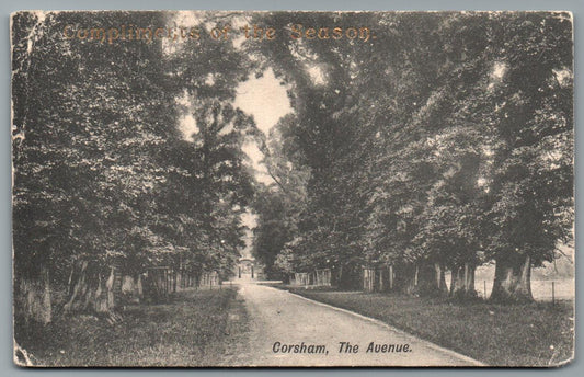 Corsham The Avenue, Wiltshire Vintage Topographical Postcard