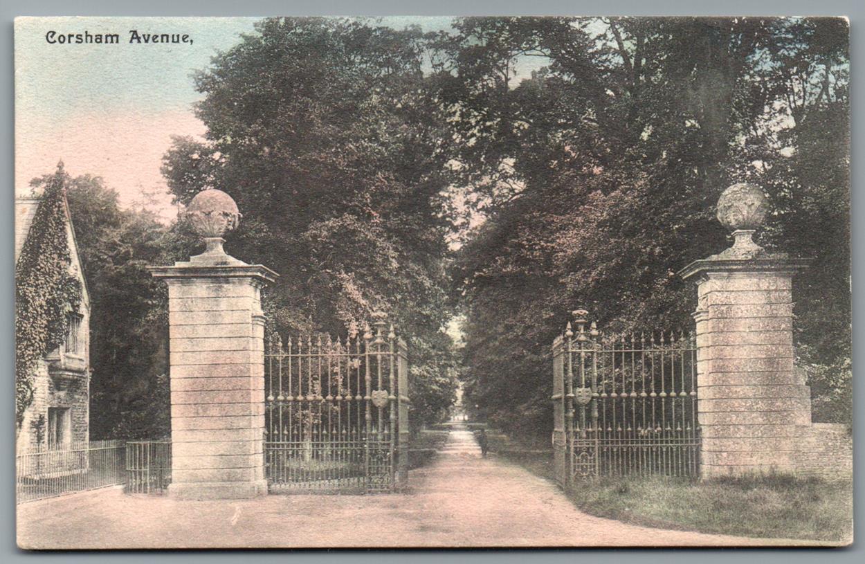 Corsham The Avenue, Wiltshire Vintage Topographical Postcard