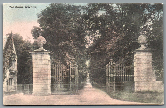 Corsham The Avenue, Wiltshire Vintage Topographical Postcard