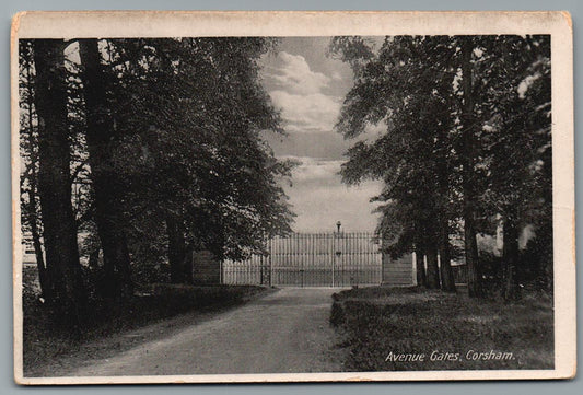 Corsham The Avenue, Wiltshire Vintage Topographical Postcard
