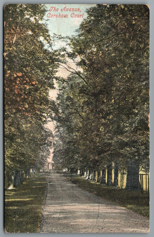 Corsham The Avenue, Wiltshire Vintage Topographical Postcard