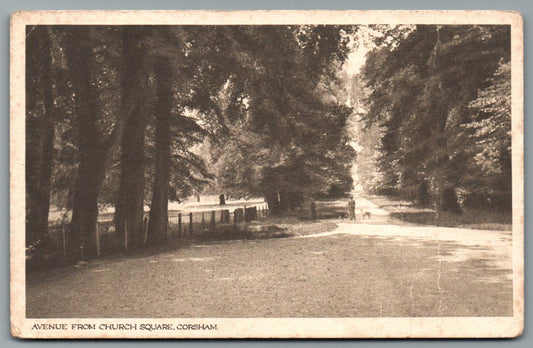Corsham The Avenue, Wiltshire Vintage Topographical Postcard