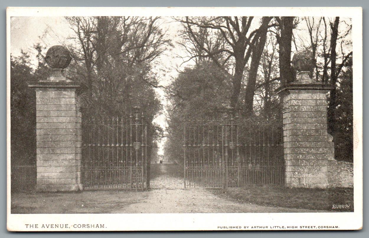Corsham The Avenue, Wiltshire Vintage Topographical Postcard