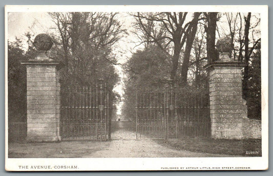 Corsham The Avenue, Wiltshire Vintage Topographical Postcard
