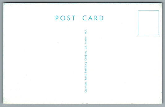 There's A Couple Here Coming Out ! Saucy Risqué Postcard #0814