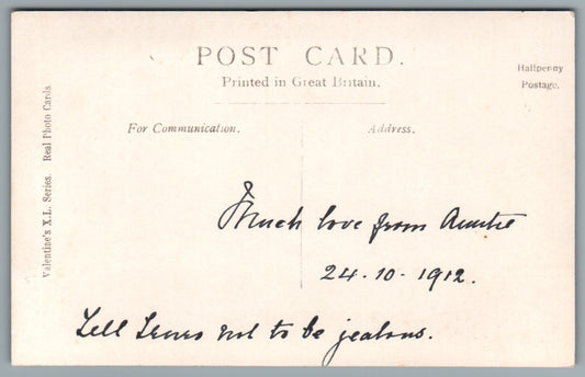 Collie Dog (Lassie type) Postcard #1304