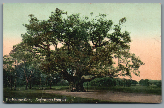 This is a Vintage Topographical Postcard showing Nottingham Major Oak Sherwood Forest Nottinghamshire