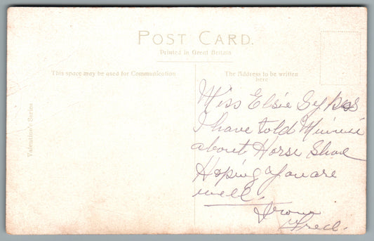Nottingham Major Oak Sherwood Forest Nottinghamshire Postcard #1389