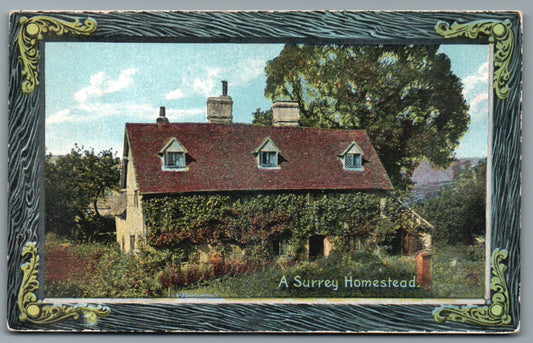 This is a Vintage Topographical Postcard showing a Surrey Homestead
