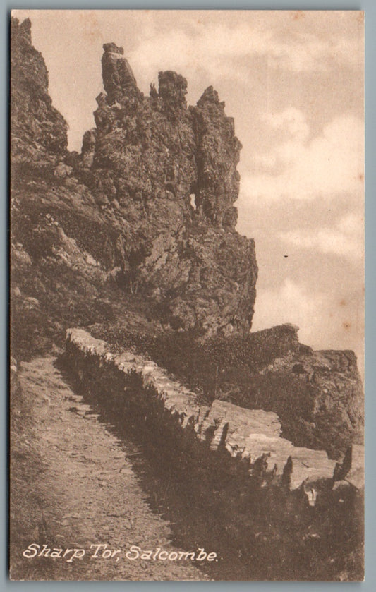 This is a Vintage Topographical Postcard showing Salcombe Sharp Tor Devon