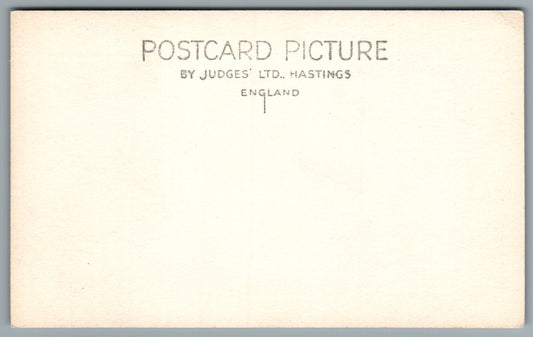 Arundel Deer Park Sussex Postcard #1996