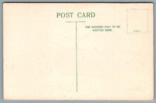 The Head Of Derwentwater Keswick Cumbria Postcard #2128
