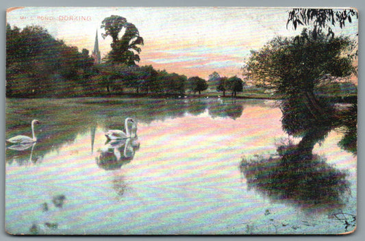 This is a Vintage Topographical Postcard showing Dorking Mill Pond Surrey