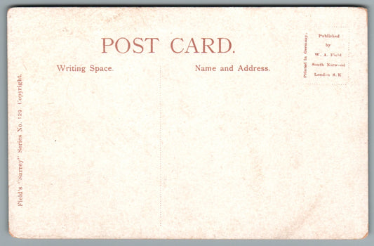 Dorking Mill Pond Surrey Postcard #2147