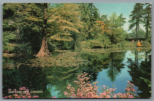 This is a Lake At Kew Gardens London Vintage Topographical Postcard