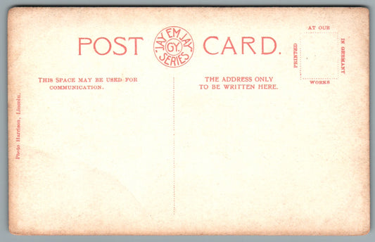Lincoln Newport Arch Lincolnshire Postcard #2369