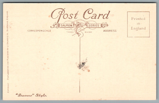 Dunster The Yarn Market Somerset Postcard #2387
