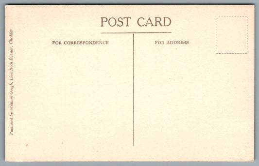 Sunshine In The Gorge Cheddar Somerset Postcard #2388