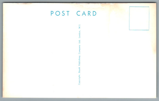 You Swallowed A Fountain Pen ?? !! Funny Dog Postcard #1183