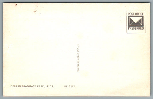 Bradgate Park Newtown Linford Leicestershire Postcard #0694